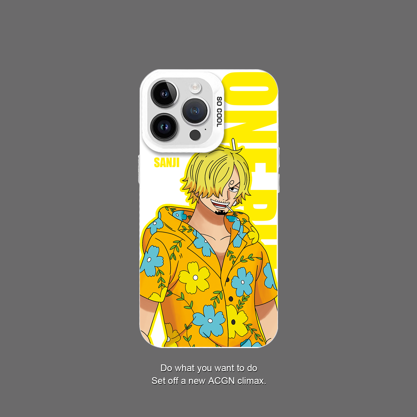 One Piece mobile phone case